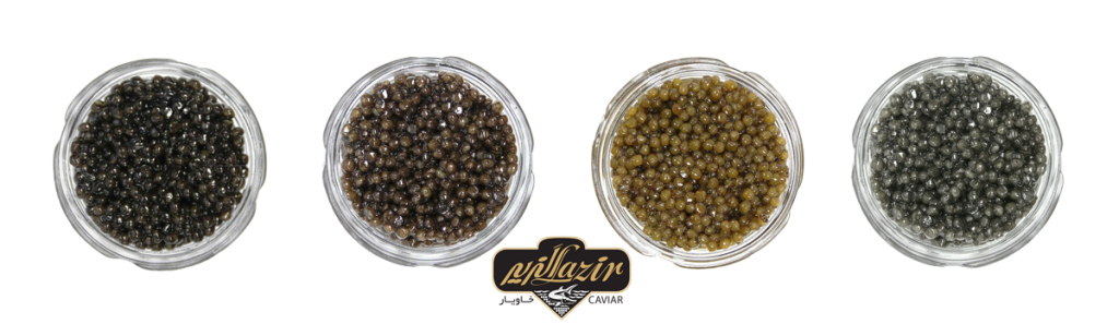 Lasir-industry Varieties of-caviar-02