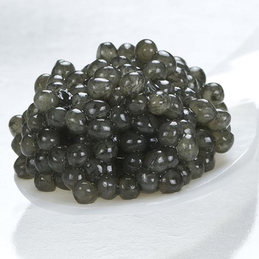 Lazir-sevruga caviar